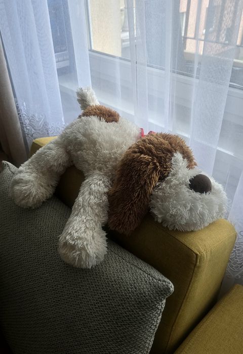 Sprzedam pluszowe zabawki