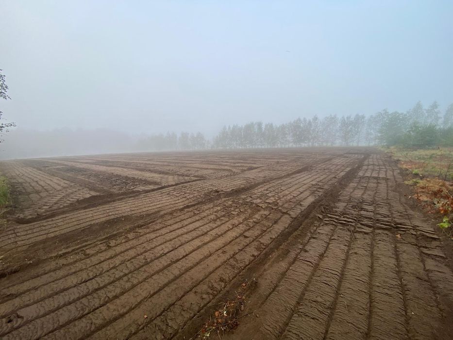 Ścinka drzew mulczer czyszczenie działek samosiewy