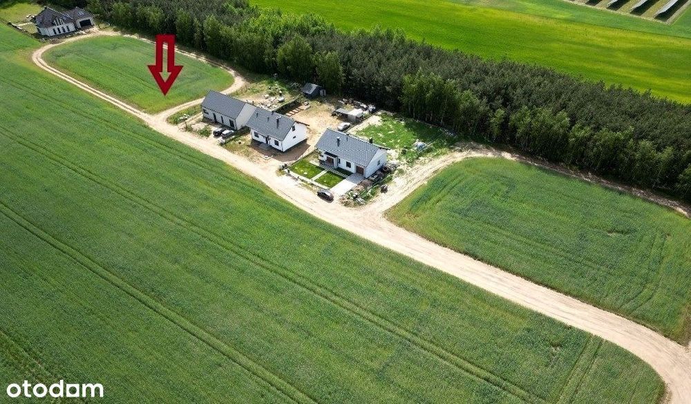 Działka Fałkowo Gniezno Swarzędz Poznań Pod lasem