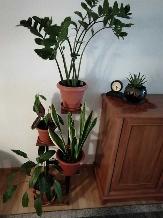 Kwietnik Stojący Metalowy Drewniany 4 Doniczki Z Kwiatami Rośliny 84cm