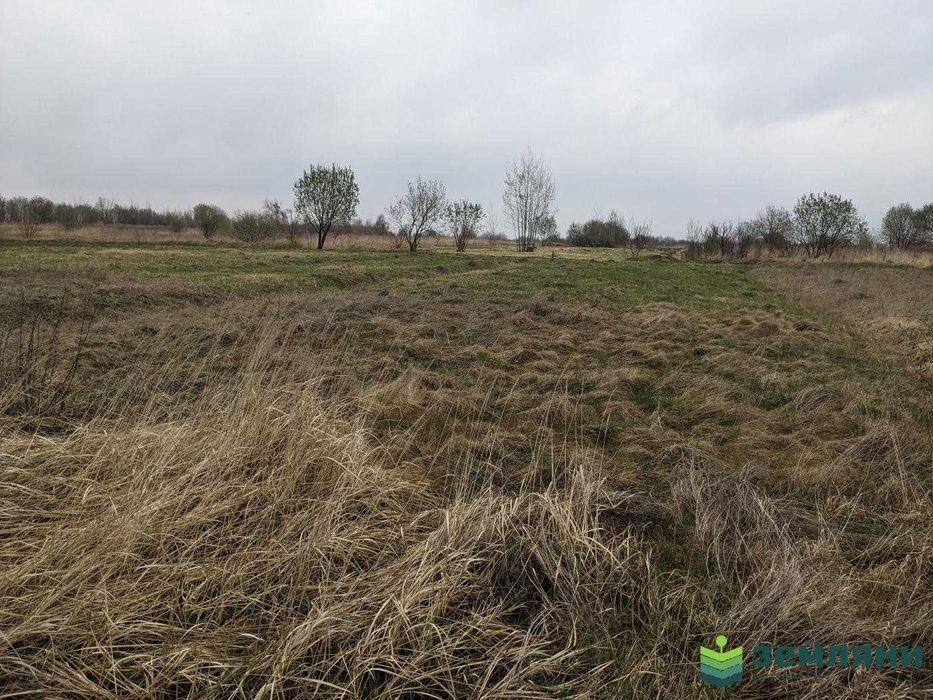 Продаж землі 36 соток під будівництво та ОСГ с.Колодіївка (5)