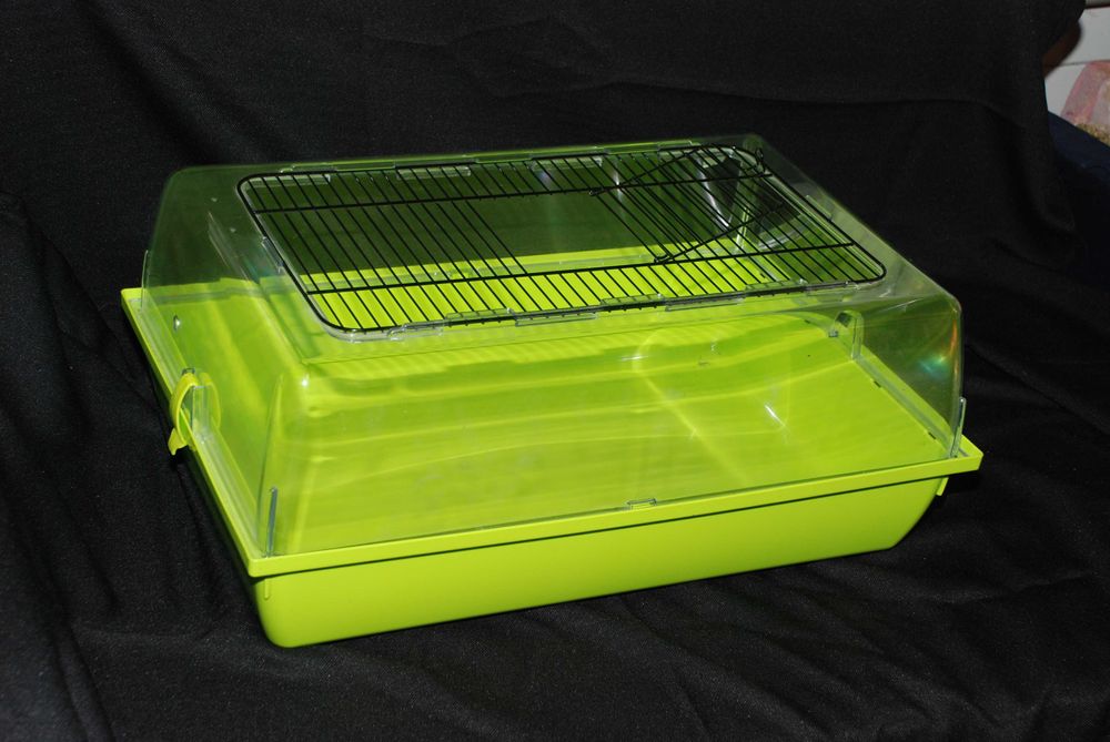 Клітка для хомяка чи щурика з аксесуарами