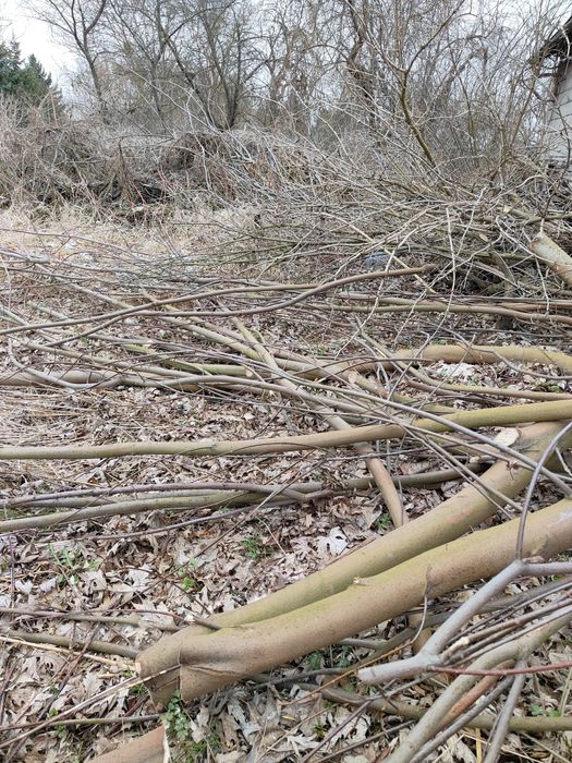 Oddam chrust, gałęzie