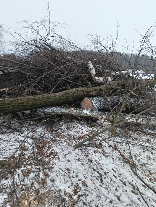 Biomasa 2000mp lisciasta