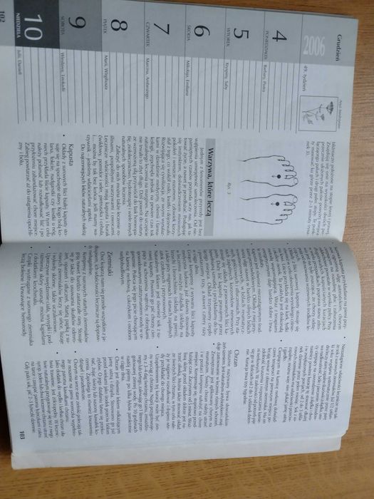 Zdrowie na co dzień - medycyna naturalna poradnik