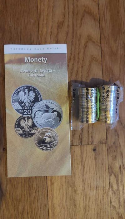 ZESTAW: 3x Foka Szara + 3x Poniatowski