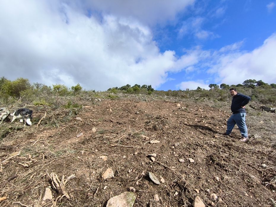 Terreno rustico SAMBADE