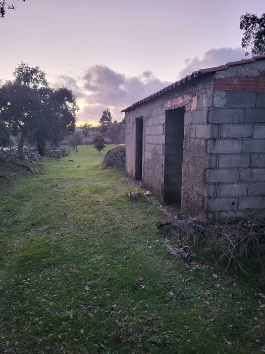 Terreno em cafede castelo branco