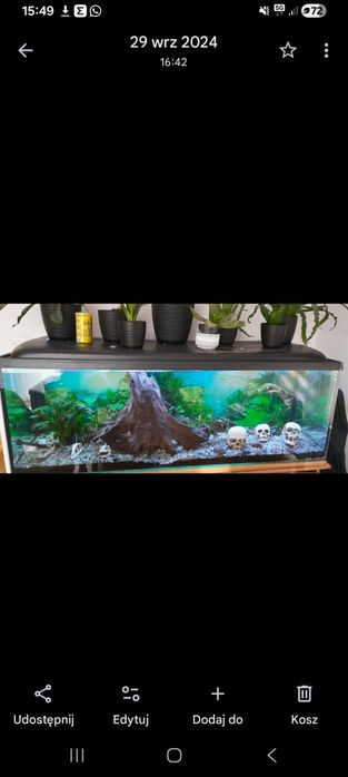 Akwarium 375 l z pokrywą