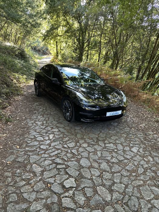 TESLA MODEL3 PERFORMANCE