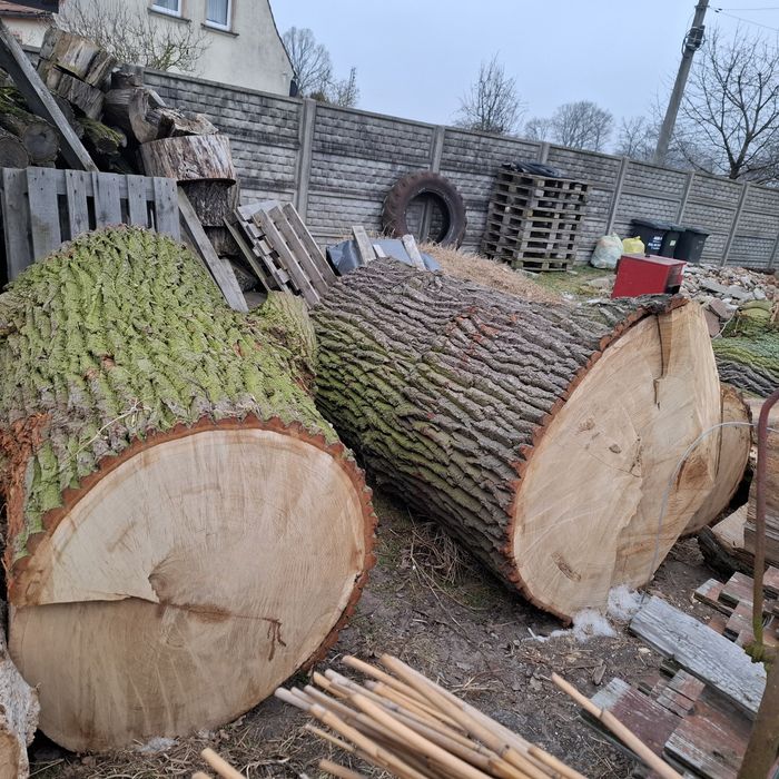 Sprzedam dwie kłody dębowe ,