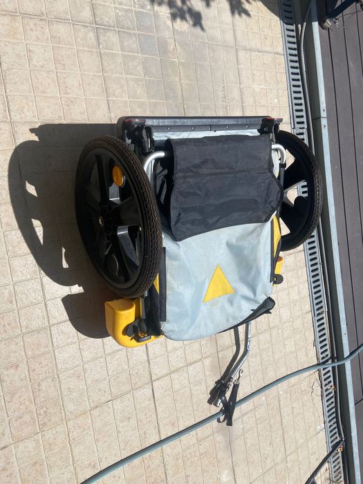 (Riquexó) Reboque para bicicleta para crianças
