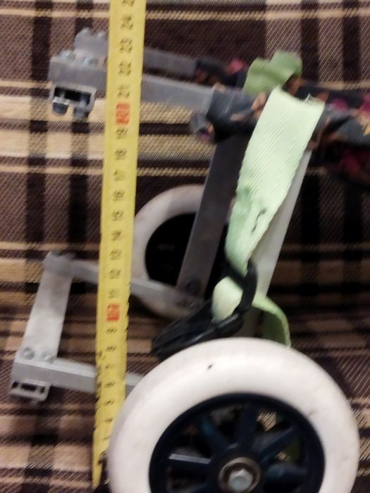 Інвалідний візок для маленьких тварин