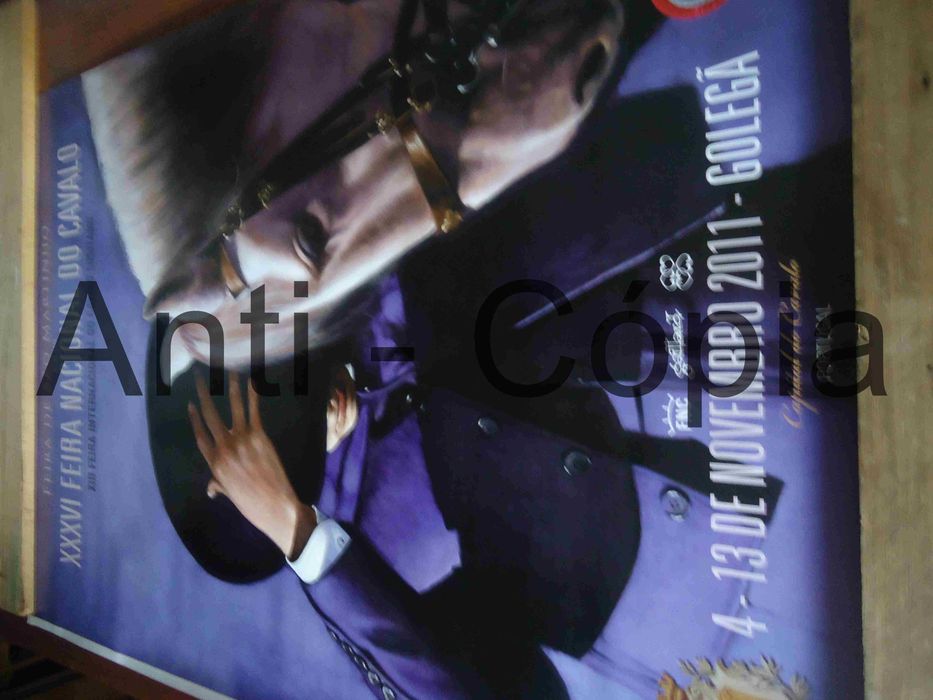 Cartazes de S. Martinho