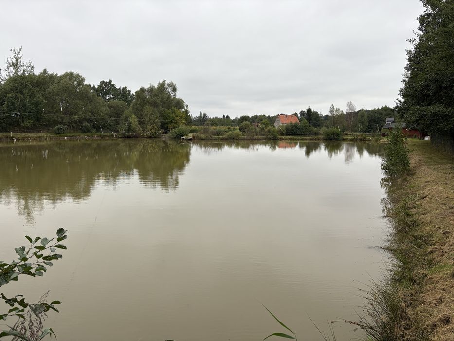Zdjęcie 4