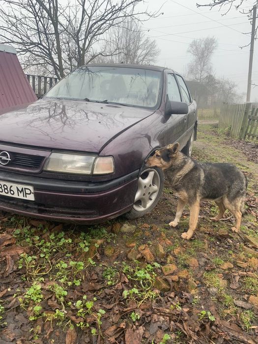 Продам опеля 1.6 бенз