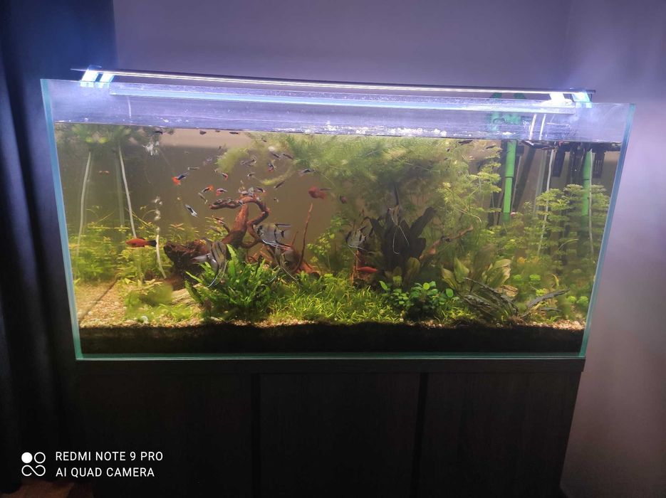 Akwarium 360 litrów - Mitoja (komplet)