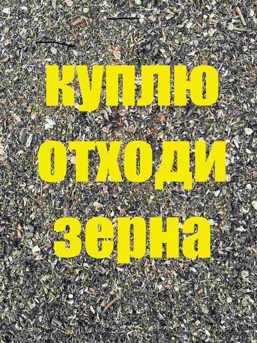Куплю зерно некондицію отходи зерна пшениці соняшника соі кукурудзи