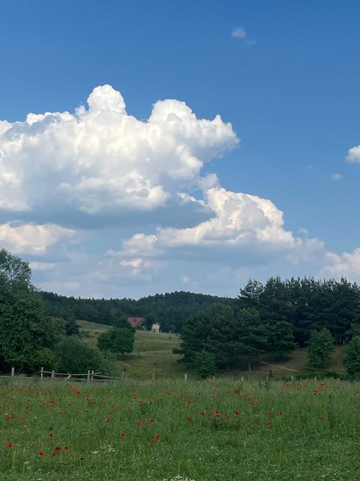 OSTATNIA ! Działka na sprzedaż