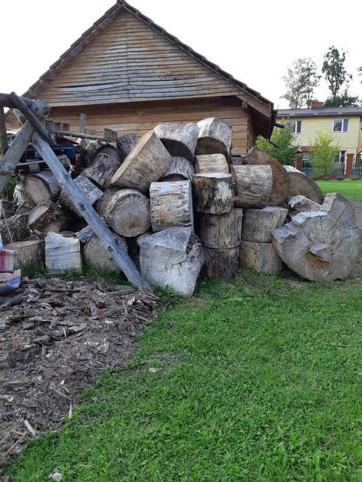 Pniaki topola osika olcha grube 2 zł za 1cm średnicy
