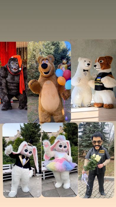 Белый мишка, белый медведь ,Пес Патрон, Зайка,, аниматор поздравление,