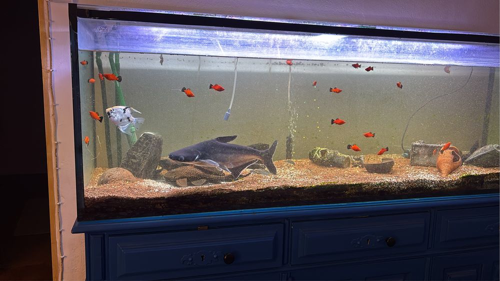 Vendo aquario 150
