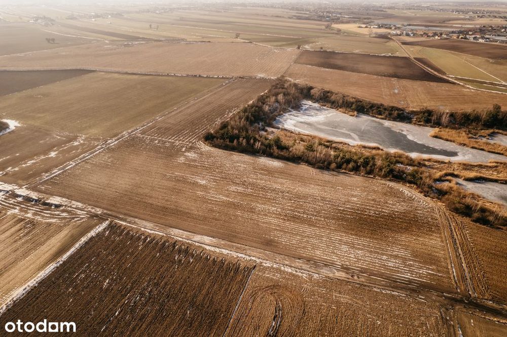 Na sprzedaż grunty rolne–Lenartowice gmina Pleszew