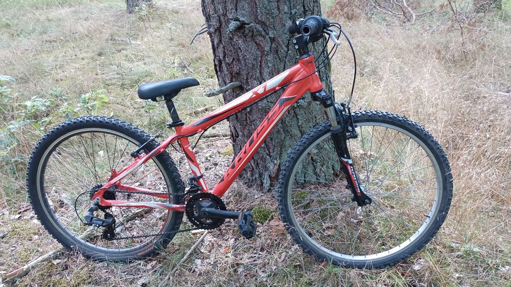 Rower uniwersalny 26"