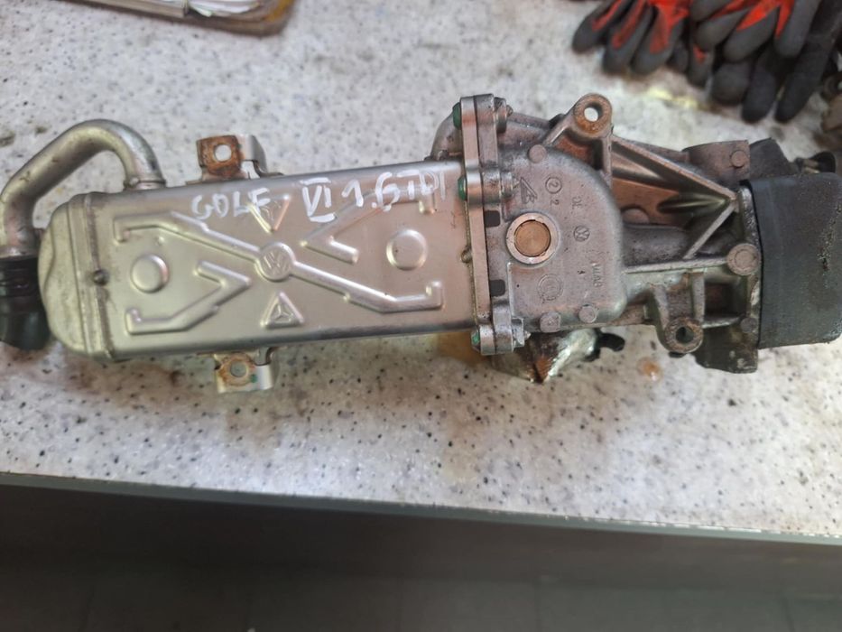 CHŁODNICA EGR VW GOLF VI 1.6 TDI CAY 105 KM 03L131512BJ ORYGINALNA