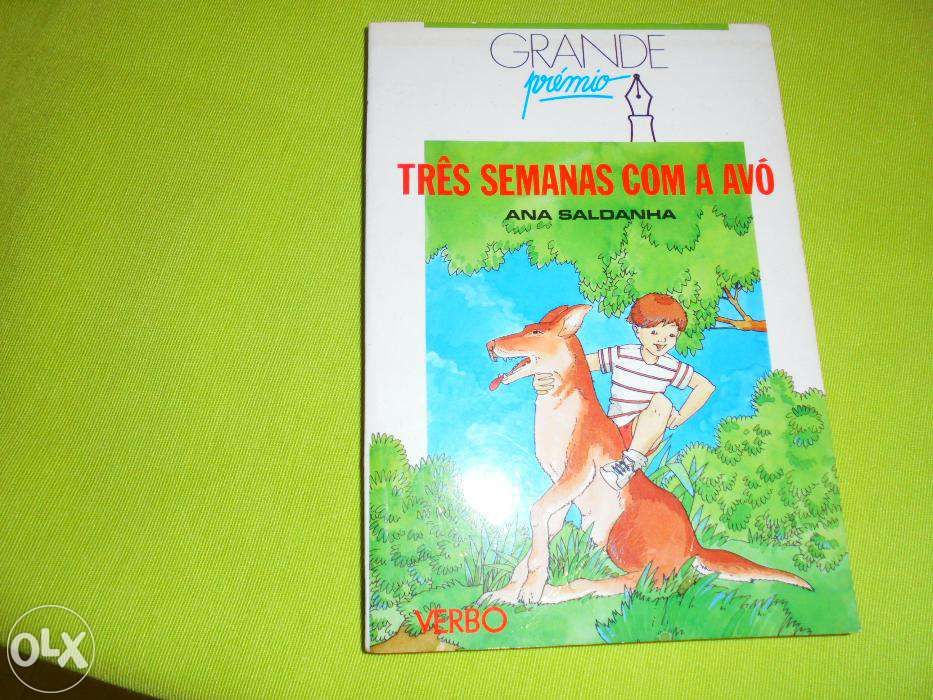 Livro "Três semanas com a a avó" de Ana Saldanha