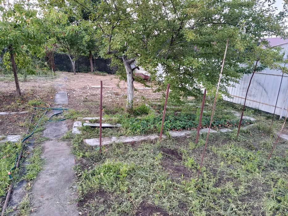 Дача на кремлевской