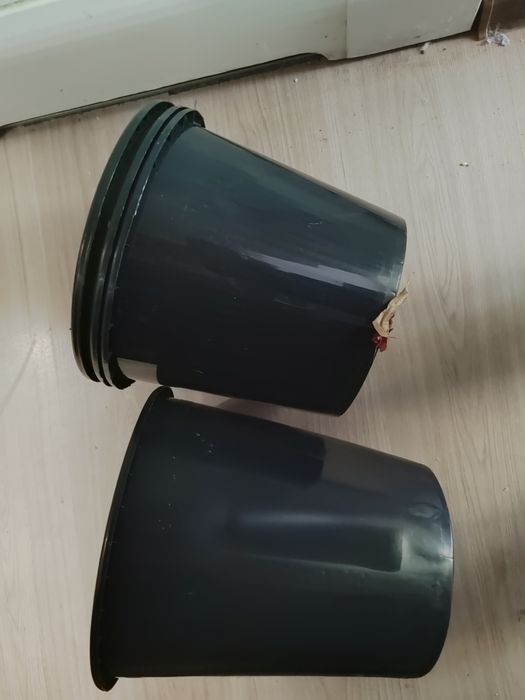 Doniczk pojemniki plastikowe i kubełkowe  3 zł /szt