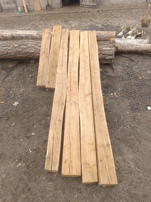 Baliki modrzewiowe, sosnowe, brzozowe