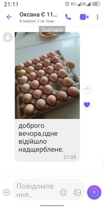 Яйця для інкубації курей.