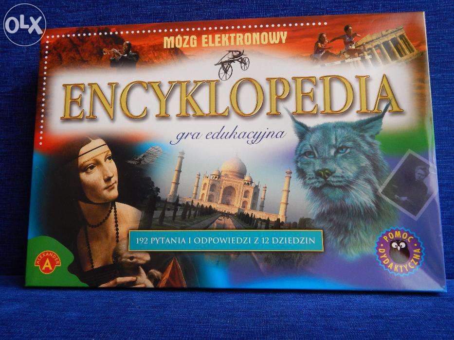 Gra edukacyjna, encyklopedia mózg elektronowy