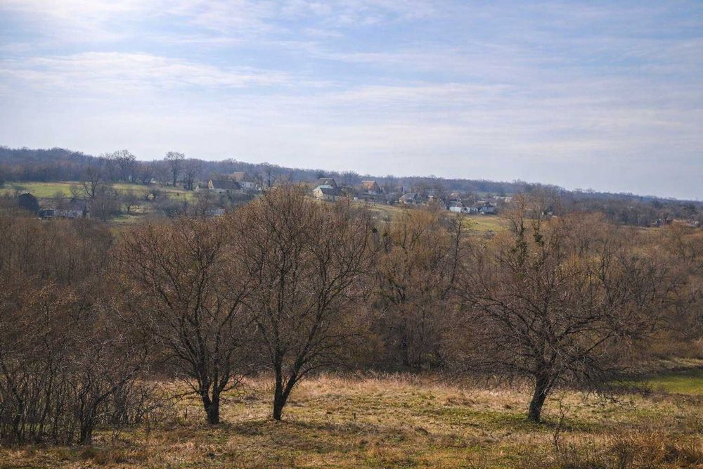 Земельна ділянка 3 га на межі з лісом — перспективна інвестиція