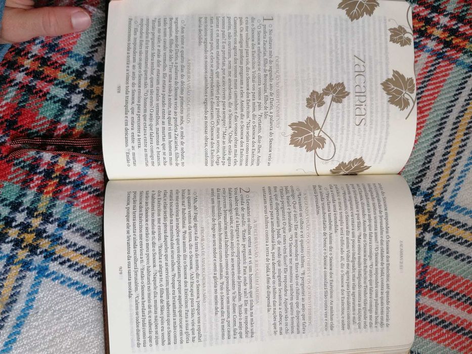 Bíblia - Purpose Book