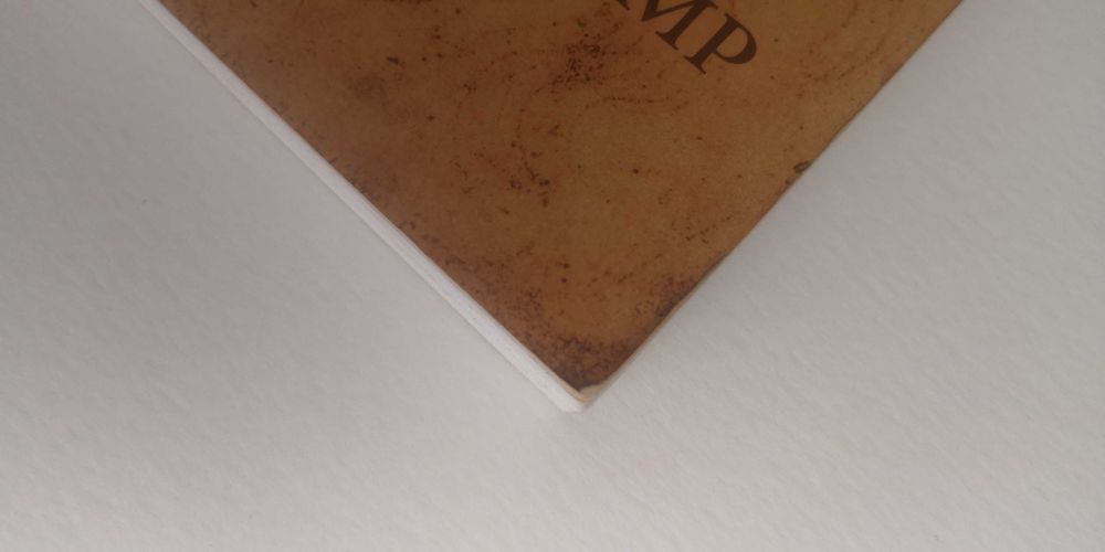 Livro vida e obra de Leonardo da Vinci