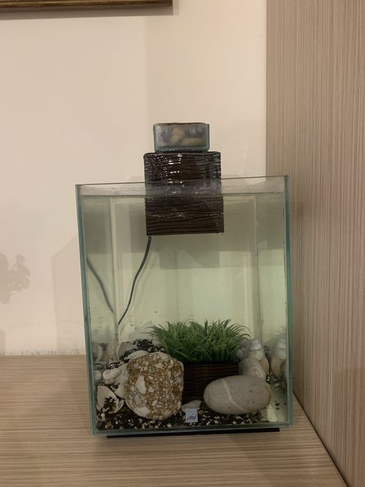 Акваріум Hagen Fluval Chi 19 л