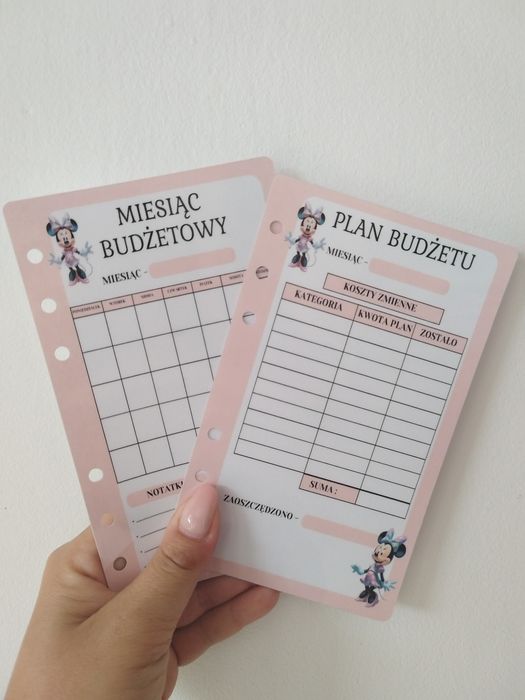 Plan budżetowy Minnie