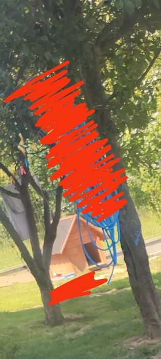Buda dla psa bardzo fajna