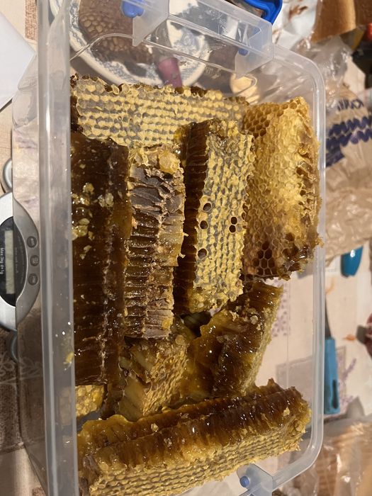 Продам мед в сотах