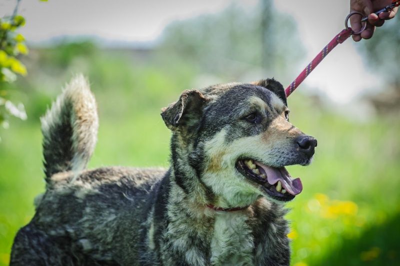 Amil czeka na domek!