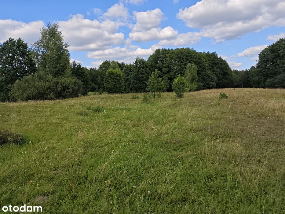 działka 0,52 ha blisko Narwi – cisza, natura