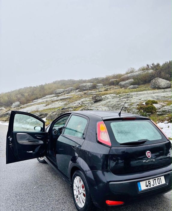 Fiat Punto gasoline