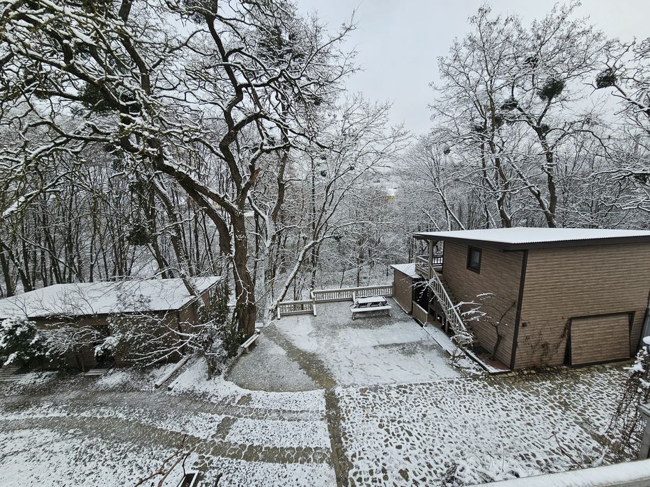 Двокімнатна квартира-лофт в центрі міста з видом на гай