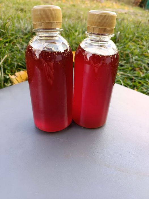 Натуральна Гарбузова олія 100мл