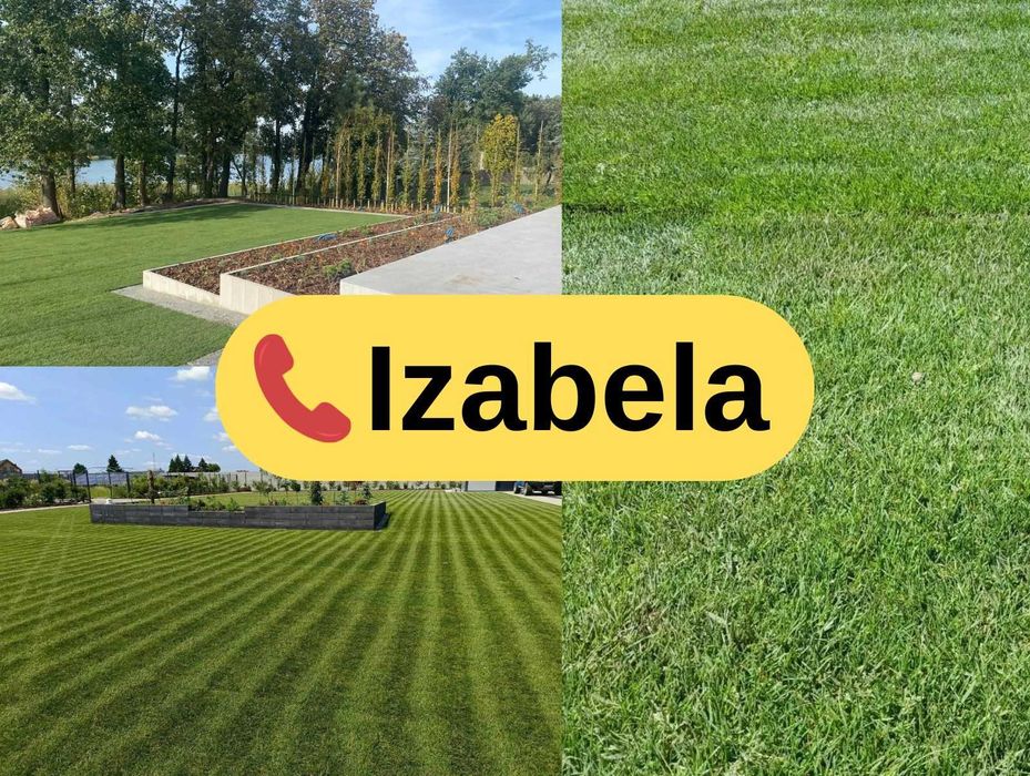 Trawa z rolki PREMIUM 1 gatunek | Szybka dostawa | PRODUCENT