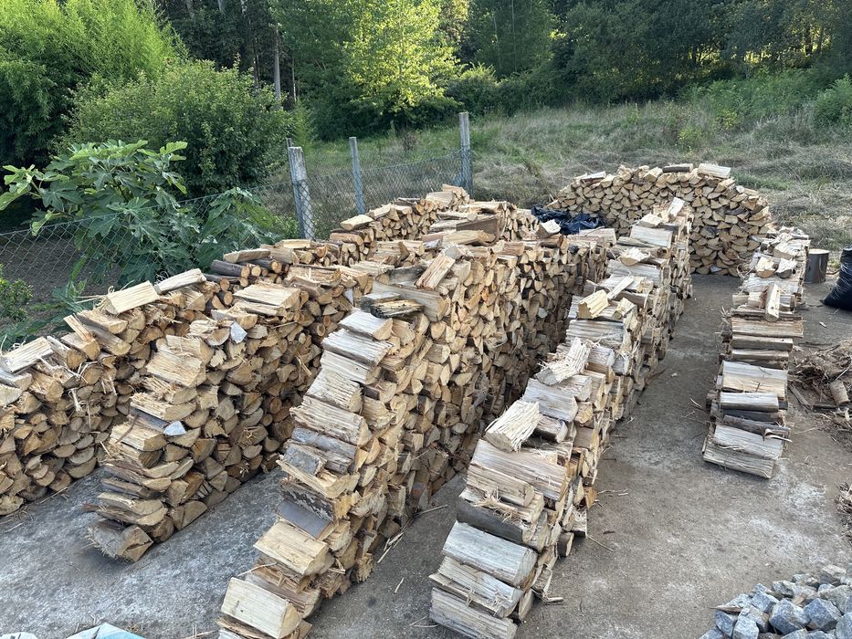 Lenha eucalipto seca