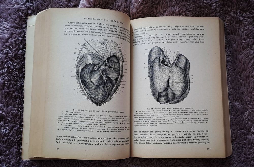 Anatomia zwierząt Krysiak komplet
